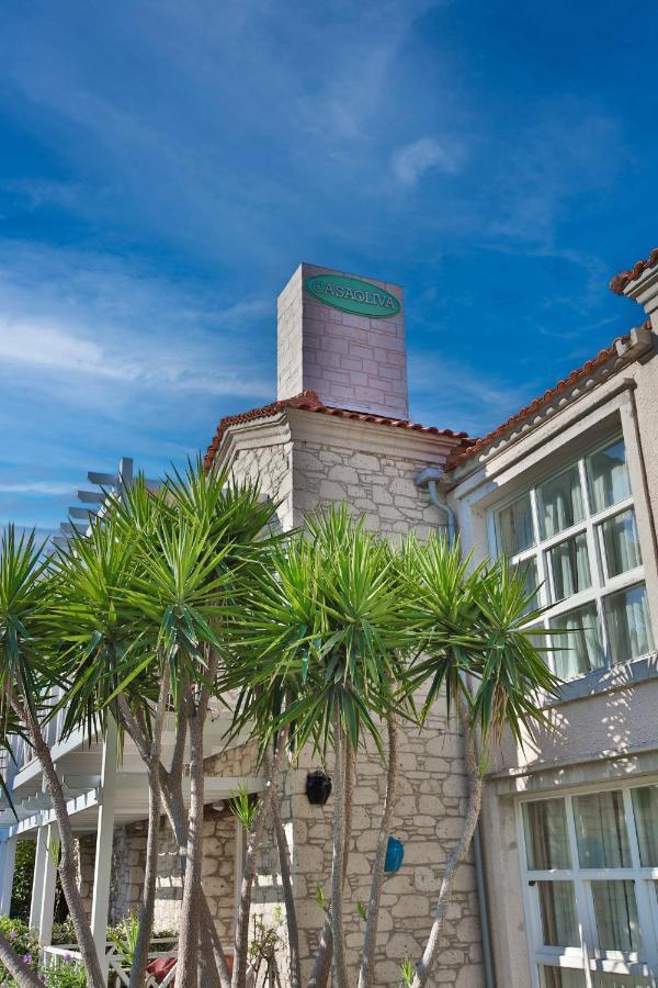 Casa Oliva Alacati - Adults Only 14 Plus Ngoại thất bức ảnh
