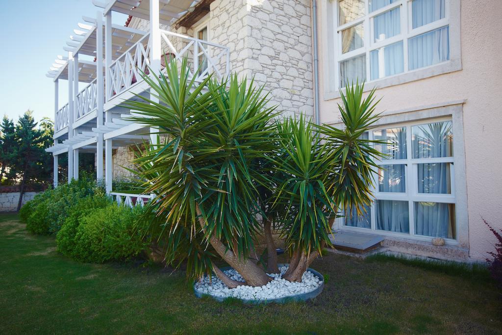 Casa Oliva Alacati - Adults Only 14 Plus Ngoại thất bức ảnh